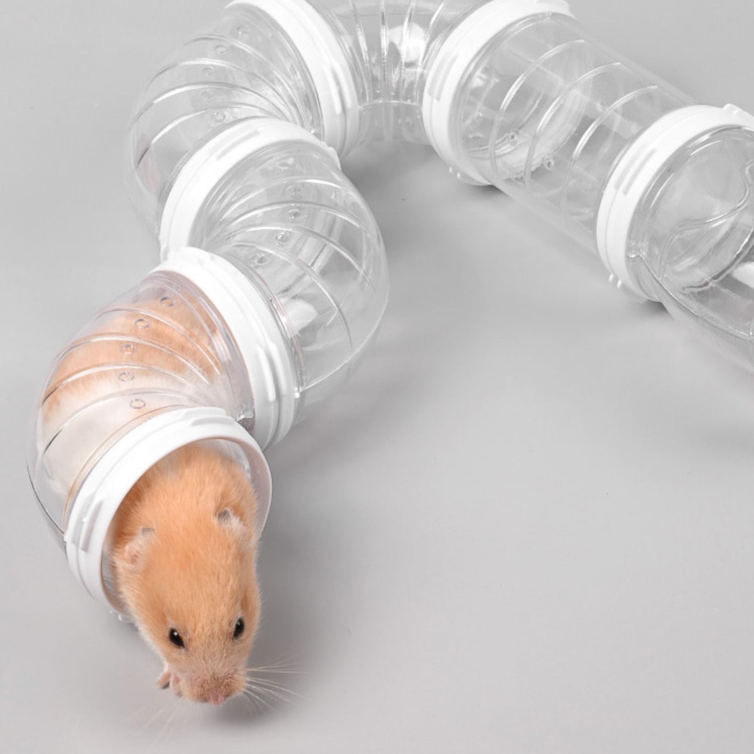 Hamster Pijp Speelgoed Set hamster verkenning in pijp